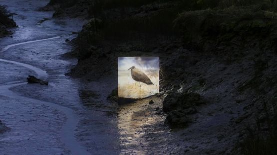 CUSP by Jake Elwes contemporary artwork Print