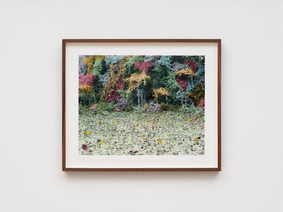 The Pond by Vasantha Yogananthan contemporary artwork Painting