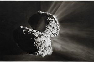 Julien Segard