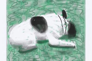 David Hockney