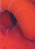 Benebelt by Maike Illies contemporary artwork Painting