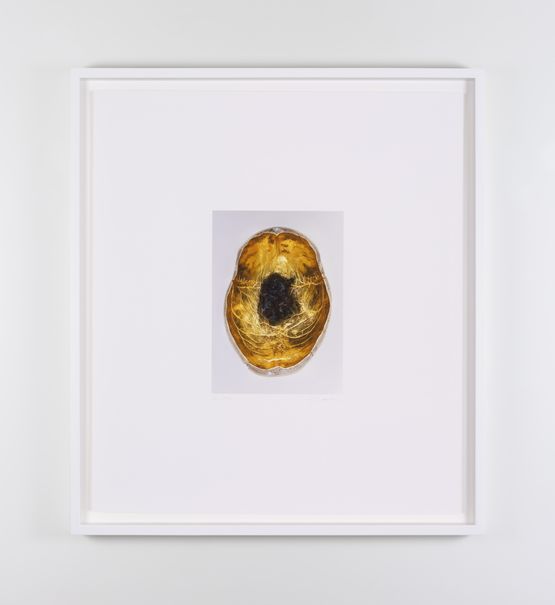 Skull Meteorite by Dorothy Cross contemporary artwork Photography