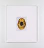 Skull Meteorite by Dorothy Cross contemporary artwork Photography