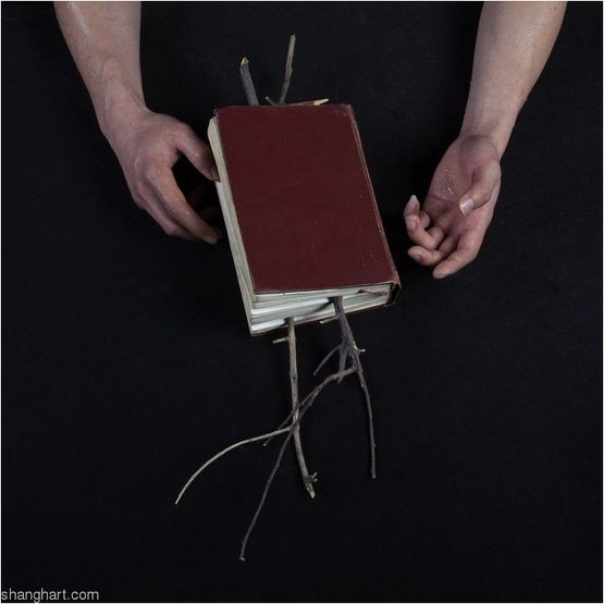 No Kidding Sometimes He Believes Nonsense with Guilty  by Chen Xiaoyun contemporary artwork Photography