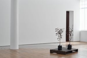 Michael Parekowhai