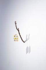 One Silver Dollar Painting Aug 31 by Mathew Hale contemporary artwork drawing painting sculpture works on paper