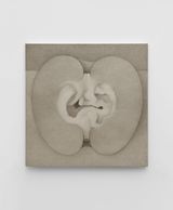 Fruit by Shao Fan contemporary artwork works on paper