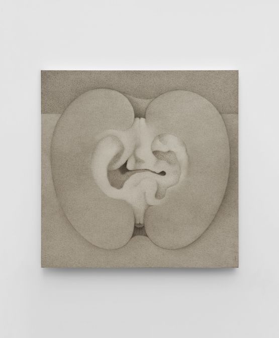Fruit by Fan Shao contemporary artwork Works on Paper