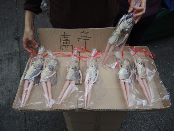 Lo Ting Toy Story -- Salute to my grandmother who was a fish hawker by Clara Cheung contemporary artwork