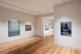Contemporary art exhibition Peter Bialobrzeski Miwa Ogasawara Ubern Wald at Galerie Albrecht Berlin Germany