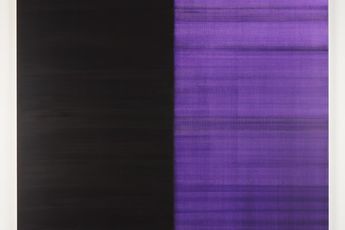 Callum Innes contemporary artist