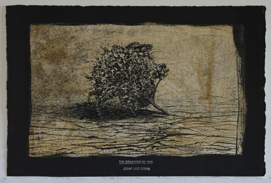 Logania depressa by Michael Shepherd contemporary artwork Works on Paper