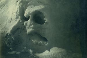 Joyce Campbell
