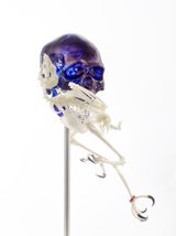 Skull with Harris Hawk by Jan Fabre contemporary artwork mixed media sculpture