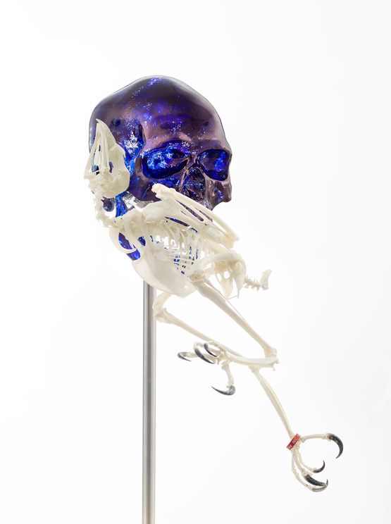 Skull with Harris Hawk by Jan Fabre contemporary artwork Sculpture