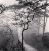 Huangshan Mountains Study 20 Anhui China by Michael Kenna contemporary artwork photography