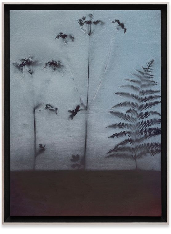 Sovereigh by Robert Elfgen contemporary artwork Painting