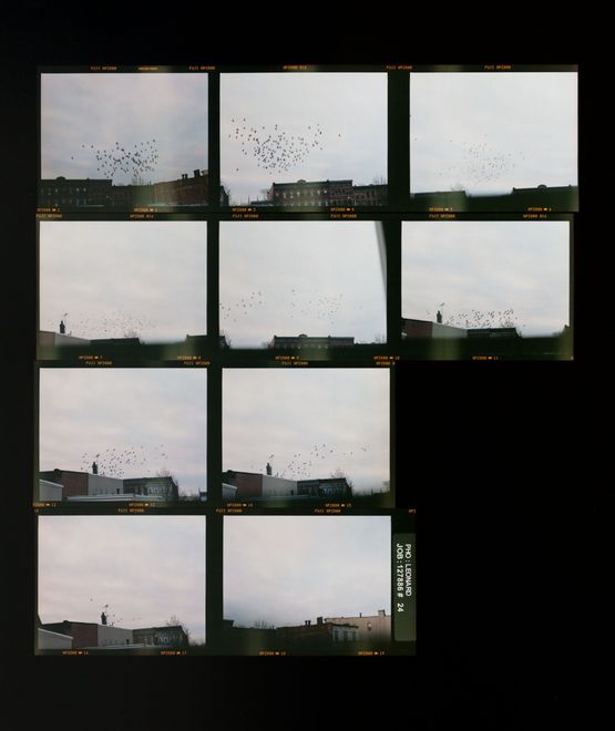 Roll 24 by Zoe Leonard contemporary artwork Photography
