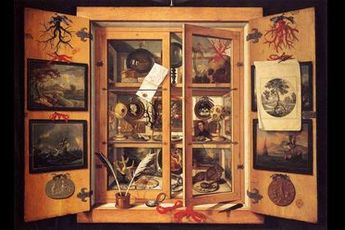 Contemporary art exhibition Group Exhibition Cabinets Of Curiosities at Perrotin Seoul South Korea