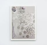 Smoke Objects by Alicia Frankovich contemporary artwork photography