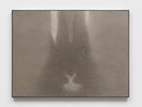 Rabbit Portrait 1025 by Shao Fan contemporary artwork Works on Paper