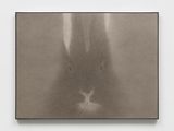 Rabbit Portrait 1025 by Shao Fan contemporary artwork works on paper