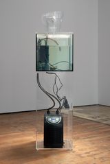Stop Shell oyster Filter version by Richard Frater contemporary artwork sculpture