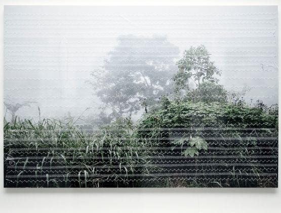 Linetrap 2 by Monica De Miranda contemporary artwork Works on Paper