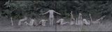 Incomplete Body by Tong Wenmin contemporary artwork
