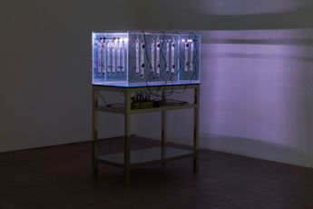 Trevor Yeung contemporary artist