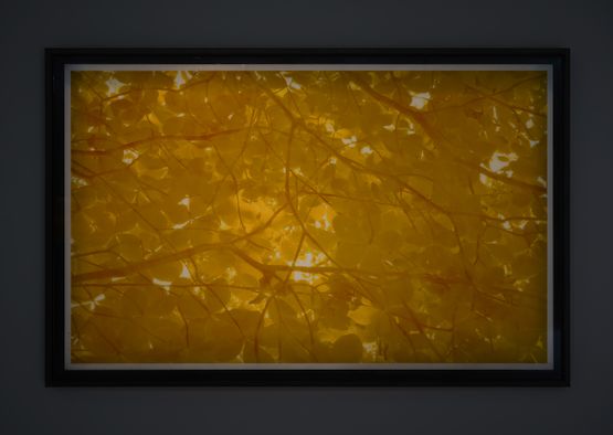 Is of Mt. Gwanak by Beak Jungki contemporary artwork Painting