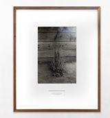 Not sweeping the house in the afternoon by Maruch Santiz Gomez contemporary artwork print