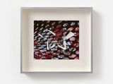 Maquette chestnut tiger in passage by Vivien Zhang contemporary artwork works on paper