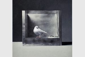 Mat Collishaw