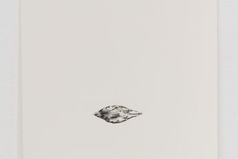 James Nguyen contemporary artist