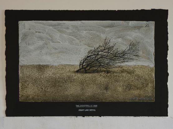 Olearia adenocarpa by Michael Shepherd contemporary artwork Works on Paper