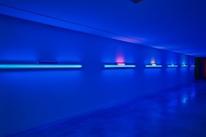 Dan Flavin