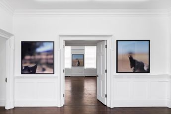 Contemporary art exhibition Jean-Luc Mylayne Mirror at Spruth Magers London United Kingdom