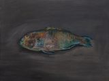 Rainbow Parrotfish by Christian Furr contemporary artwork painting