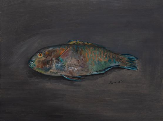 Rainbow Parrotfish by Christian Furr contemporary artwork Painting