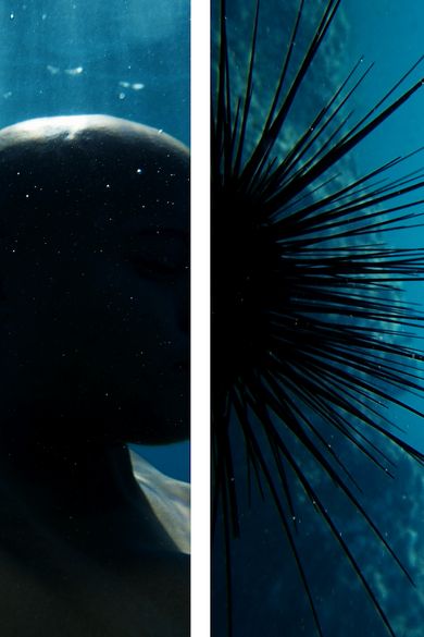 Fragments of Epic Memory Centres the Caribbean and Its Diaspora