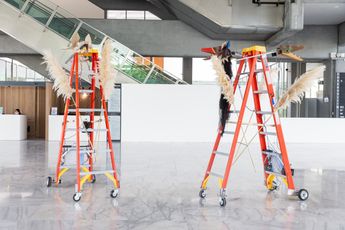 Fernando Palma Rodriguez contemporary artist