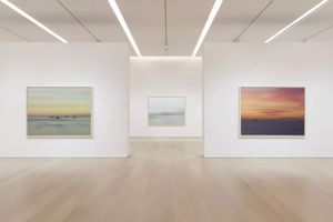 Richard Misrach