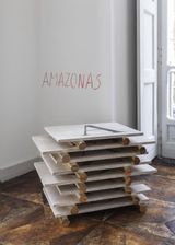 America America - Amazonas Tapajos Orinoco Purus Vaupes Tocantins Xingu by Lothar Baumgarten contemporary artwork sculpture