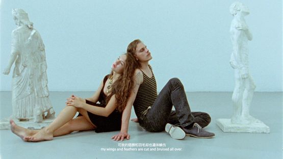 Before Falling Asleep Part 2 - Two Pigeons by Cheng Ran contemporary artwork Moving Image