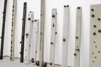 Adriano Costa contemporary artist