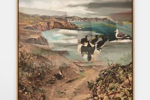 Petra Cortright