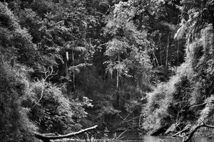 Sebastiao Salgado