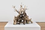 Shuyi Cao contemporary artist