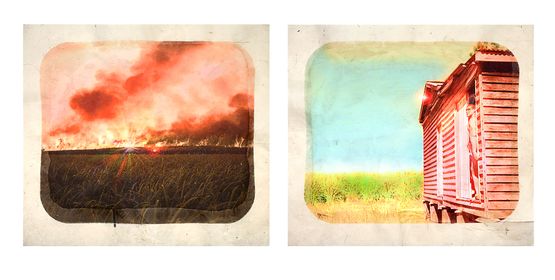 Plantation Diptych No. 9 by Tracey Moffatt contemporary artwork Works on Paper